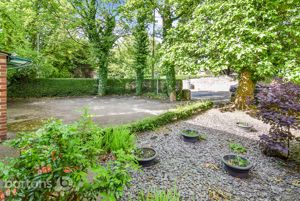 Photo 12- click for photo gallery